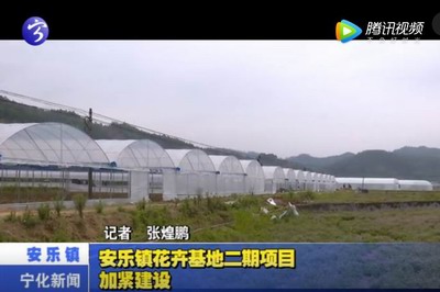 安樂鎮(zhèn)花卉基地二期項(xiàng)目加緊建設(shè)