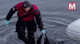 視頻顯示，搜索行動(dòng)中，路人的尸體被搜救員從河里拖出。（圖源：《鏡報(bào)》視頻截圖）