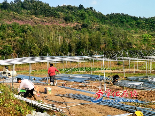 寧化淮土鎮：建設農業大棚，助力產業振興