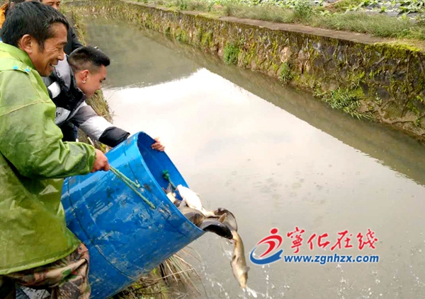 寧化巫坊村：以魚養水，生態治水