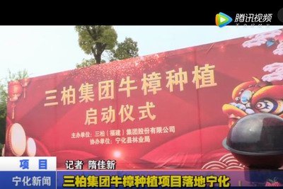 三柏集團(tuán)牛樟種植項(xiàng)目落地寧化
