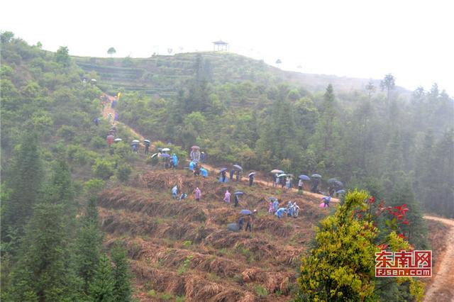 福州:黨員志愿者建設公益景觀林 助力永泰美麗鄉村建設 