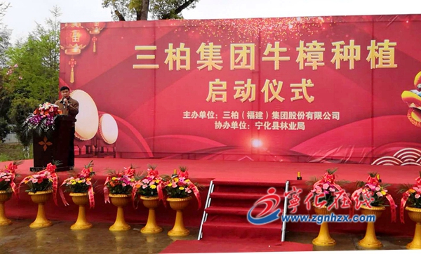 三柏集團牛樟種植啟動儀式在寧化舉行