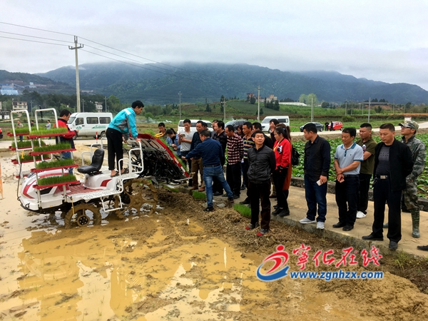 寧化湖村鎮舉行農業生產社會化服務項目現場會