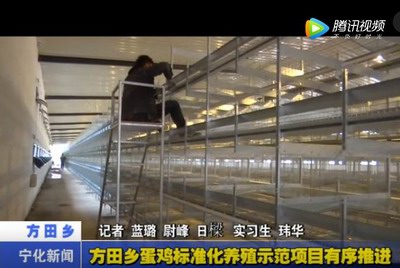 方田鄉(xiāng)蛋雞標(biāo)準(zhǔn)化養(yǎng)殖示范項(xiàng)目有序推進(jìn)