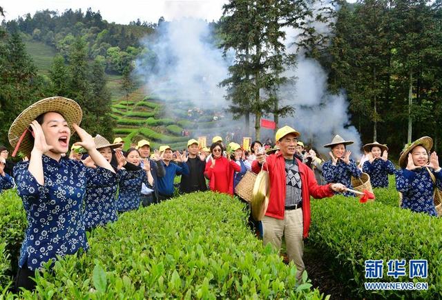 武夷山：生態茶園 祭茶喊山 