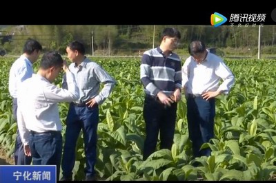 中國(guó)農(nóng)業(yè)科學(xué)院煙草研究所來(lái)寧調(diào)研煙葉生產(chǎn)工作
