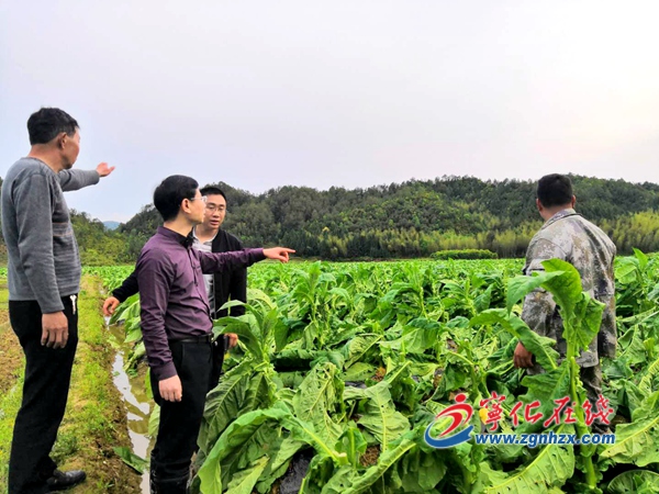 寧化泉上鎮災后恢復生產、重建工作有序開展