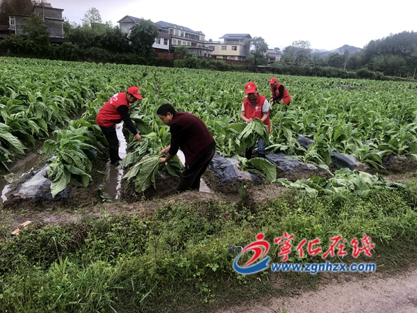 寧化縣應(yīng)急局煙草局工作組到受災(zāi)鄉(xiāng)鎮(zhèn)指導(dǎo)救災(zāi)工作