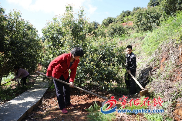 寧化：福樂種養基地助增收