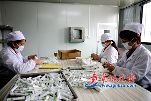 小果薔薇藥材研究應用開發項目落地寧化