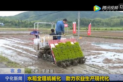 水稻全程機械化 助力農(nóng)業(yè)生產(chǎn)現(xiàn)代化