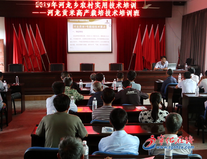寧化：河龍貢米高產(chǎn)栽培技術(shù)培訓(xùn)促增收