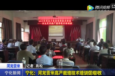 寧化：河龍貢米高產栽培技術培訓促增收