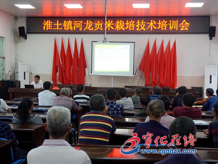 寧化淮土鎮：農技送上門