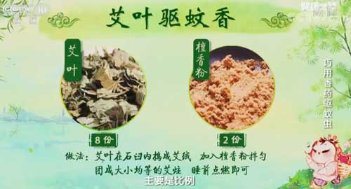 這個中藥驅蚊方,在家就能做,效果很驚人!