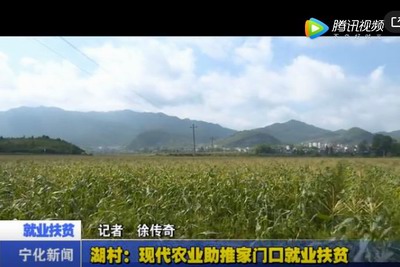湖村：現代農業助推家門口就業扶貧