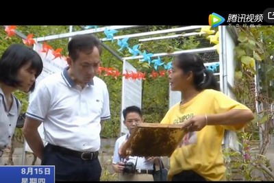 福建省人民政府發(fā)展研究中心領(lǐng)導(dǎo)來寧調(diào)研