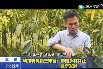 科技特派員王邦富：助推鄉(xiāng)村林業(yè)經(jīng)濟(jì)發(fā)展