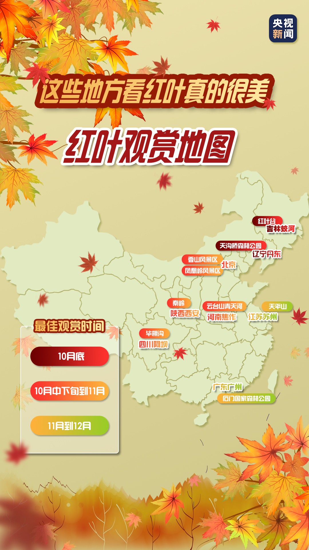一葉知秋！帶上這份地圖，定制專屬于你的紅葉觀賞地