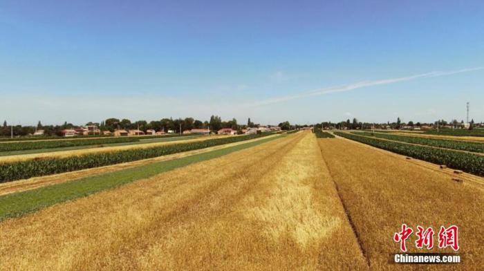 全球還有6.9億人在挨餓！我們該如何端牢飯碗？