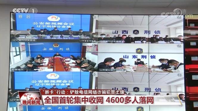 “斷卡”行動(dòng)首輪集中收網(wǎng) 這三類人員成重點(diǎn)打擊對象
