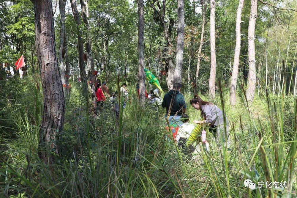 【鄉(xiāng)村振興】石壁鎮(zhèn)第二屆商貿(mào)旅游節(jié)圓滿落幕，快來(lái)圍觀！