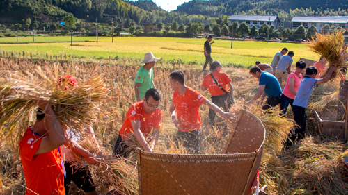 河龍鄉向社會有獎征集影像資料的情況公布