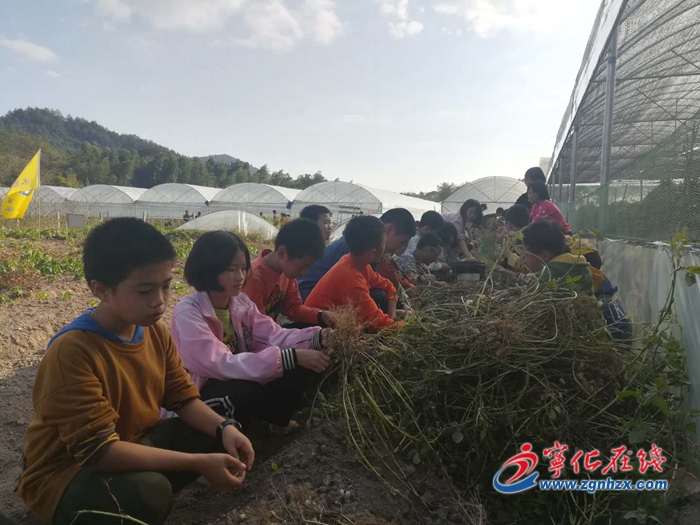 寧化水茜初級中學：把課堂搬進農場