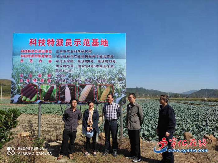 寧化湖村:百畝水果玉米科技示范基地完成測產驗收