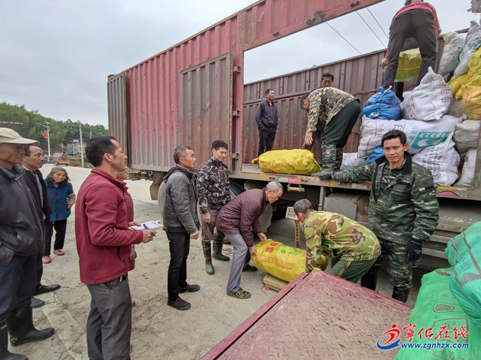 【鄉村振興】寧化中沙：紫薯“長”出致富路