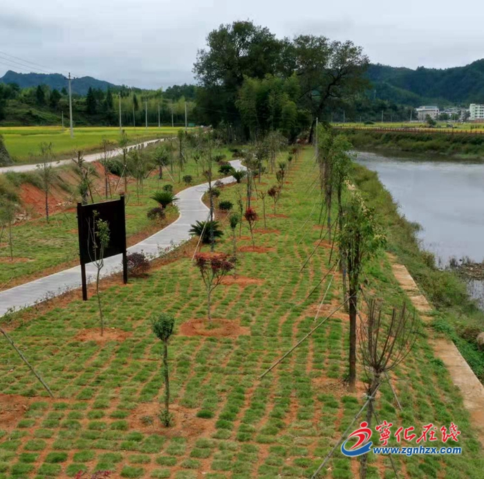 【中國綠都 最氧三明】寧化水茜鎮(zhèn)：以水為筆 繪綠色生態(tài)畫卷