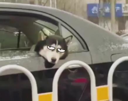 人為什么會暈車?暈動病的原因及癥狀,預防暈車的6個小妙招