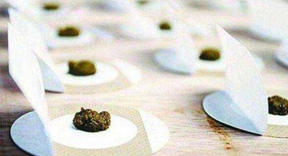 三伏貼每個人貼的中藥都一樣嗎?三伏貼貼的位置在哪里?