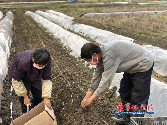 寧化曹坊：戰(zhàn)“疫”保春耕助扶貧