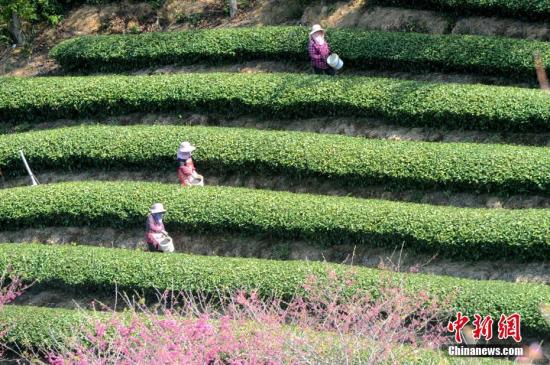 農業農村部:精準穩妥推進農村中小微企業復工復產