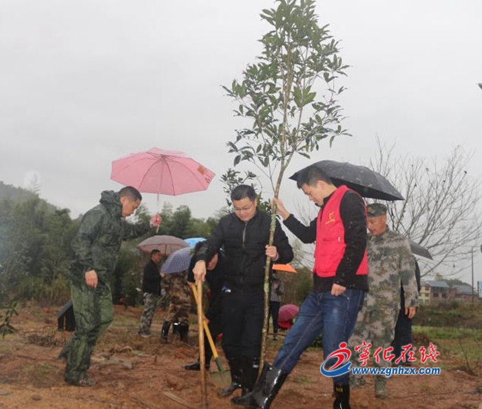 寧化安遠:干群植樹添新綠