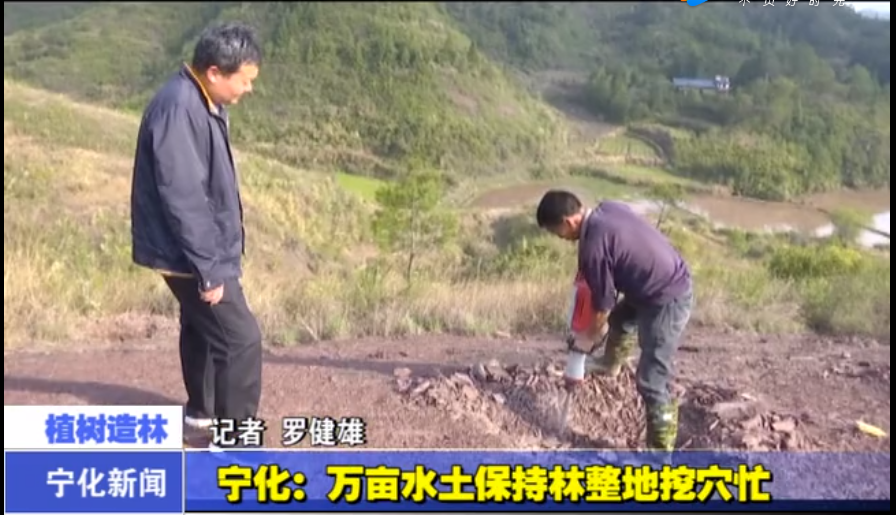 寧化:萬畝水土保持林整地挖穴忙