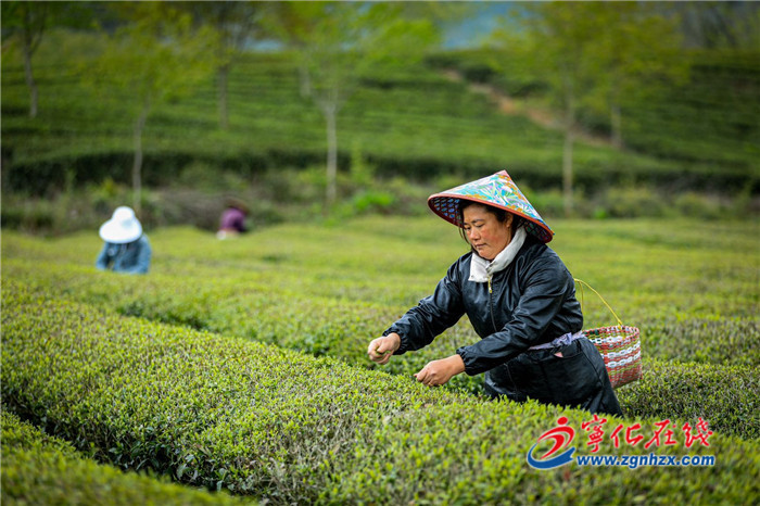 寧化：加快推進各類企業復工復產