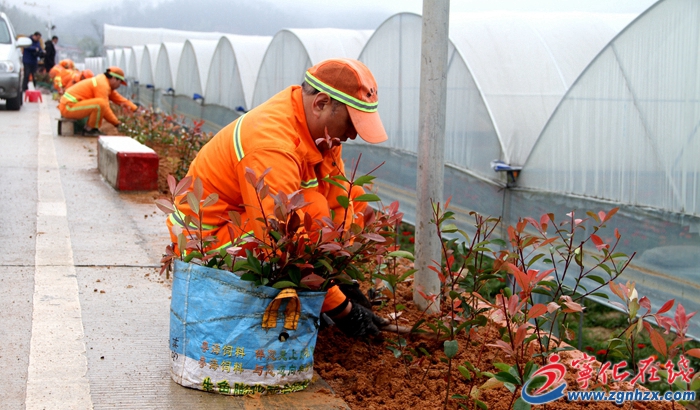 寧化：建設生態公路 助推美麗鄉村建設