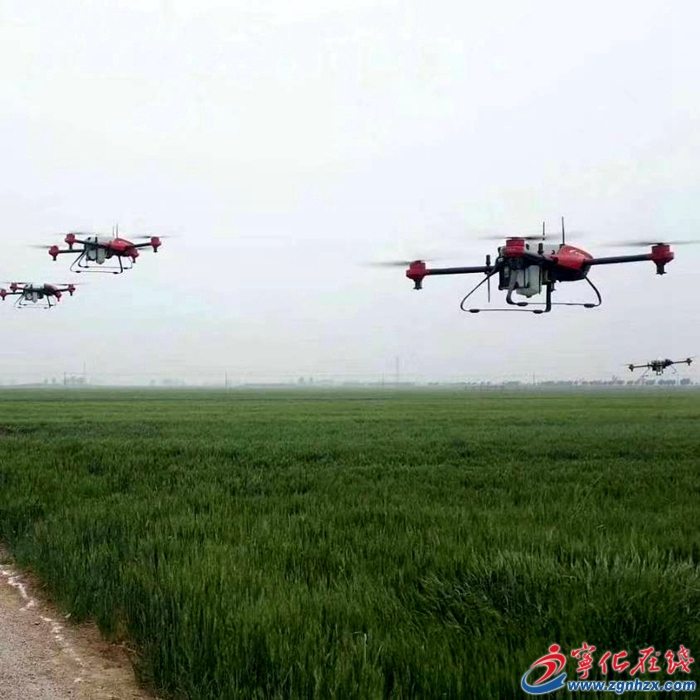 種地交給“田保姆”