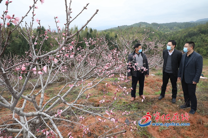 寧化：發(fā)放貸款4500萬元助生產(chǎn)