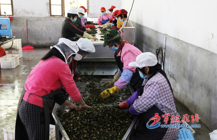 寧化：全部貧困村摘帽