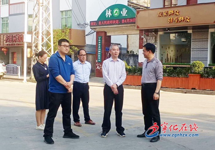 廖祥初到泉上鎮、湖村鎮調研