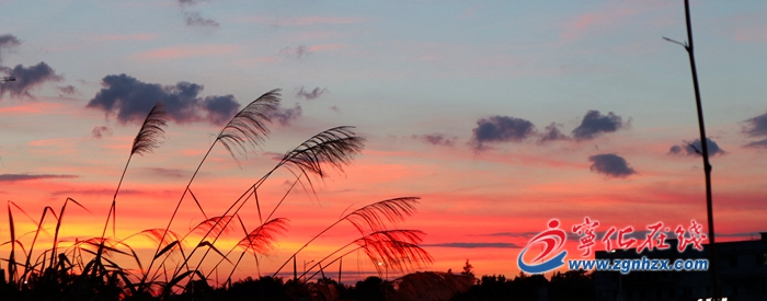 組圖|寧化二實幼舉辦教職工攝影賽