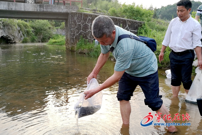 寧化水茜鎮：投放魚苗3萬多尾