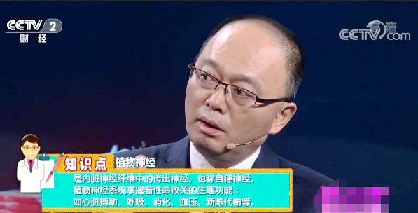 健康科普：什么是植物神經(jīng)？