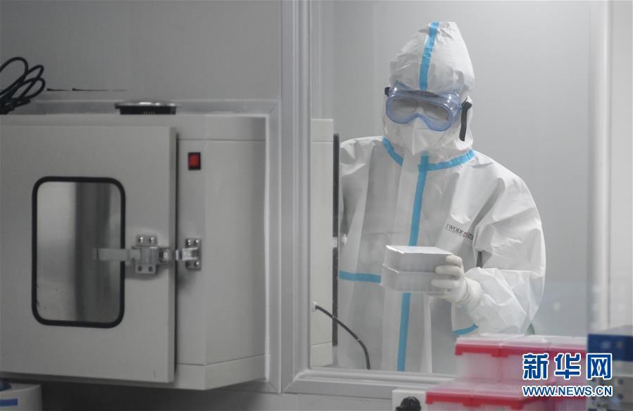 (新華視點·圖文互動)(4)武漢核酸“普查”結果公布,四個焦點問題有了答案