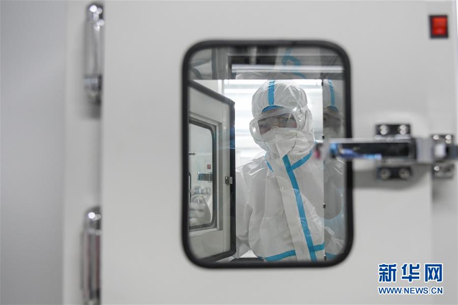 (新華視點·圖文互動)(5)武漢核酸“普查”結果公布,四個焦點問題有了答案