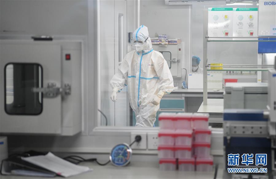 (新華視點·圖文互動)(6)武漢核酸“普查”結果公布,四個焦點問題有了答案